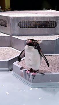 AOAO SAPPOROに投稿された画像（2024/9/16）