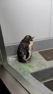 AOAO SAPPOROに投稿された画像（2024/9/16）