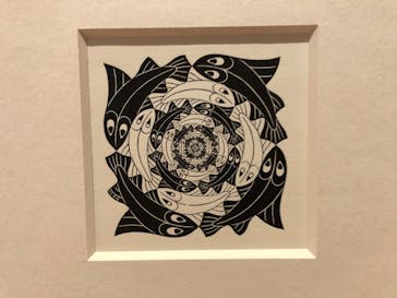 豊田市美術館に投稿された画像（2024/9/16）