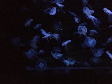 AOAO SAPPOROに投稿された画像（2024/9/16）