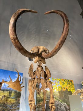 福井県立恐竜博物館に投稿された画像（2024/9/16）