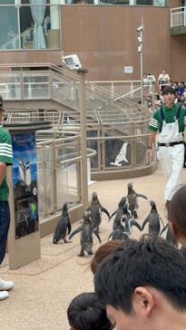 アクアワールド茨城県大洗水族館に投稿された画像（2024/9/16）