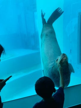 マリンワールド海の中道に投稿された画像（2024/9/16）