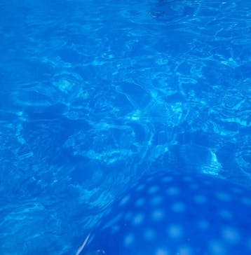 東京サマーランドに投稿された画像（2024/9/16）