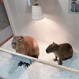 アニタッチ 東京ドームシティに投稿された画像（2024/9/17）