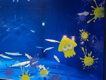 マリンワールド海の中道に投稿された画像（2024/9/16）