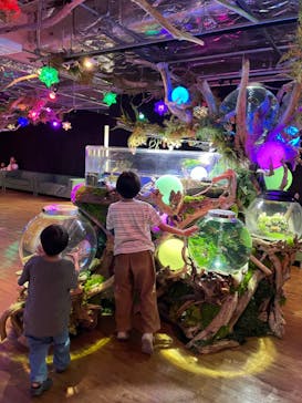 NARA IKIMONO MUSEUMに投稿された画像（2024/9/17）