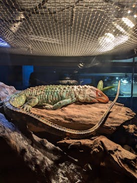 AOAO SAPPOROに投稿された画像（2024/9/17）