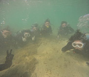 武藤潜水に投稿された画像（2024/9/17）