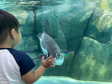 天王寺動物園に投稿された画像（2024/9/17）