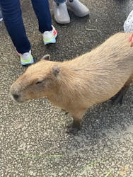 伊豆シャボテン動物公園に投稿された画像（2024/9/17）