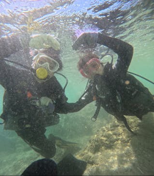 武藤潜水に投稿された画像（2024/9/17）