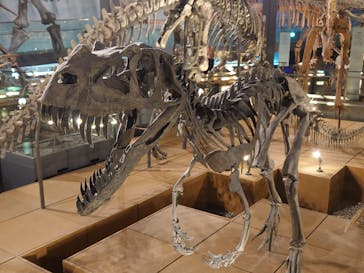 福井県立恐竜博物館に投稿された画像（2024/9/17）