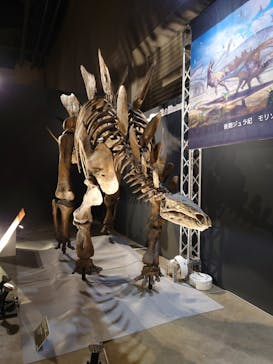 福井県立恐竜博物館に投稿された画像（2024/9/17）