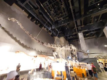 福井県立恐竜博物館に投稿された画像（2024/9/17）