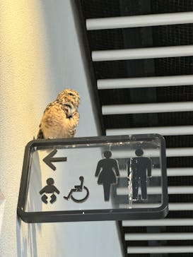 NIFREL（ニフレル）に投稿された画像（2024/9/17）