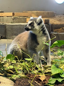 NIFREL（ニフレル）に投稿された画像（2024/9/17）