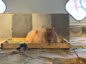 NIFREL（ニフレル）に投稿された画像（2024/9/17）