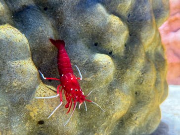 NIFREL（ニフレル）に投稿された画像（2024/9/17）