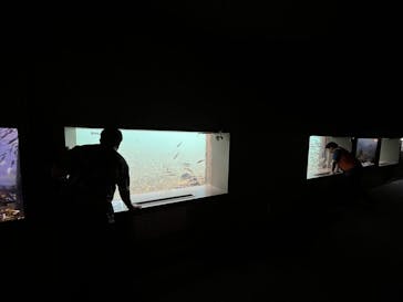 サケのふるさと 千歳水族館に投稿された画像（2024/9/17）