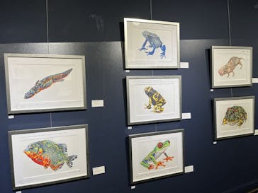 サケのふるさと 千歳水族館に投稿された画像（2024/9/17）