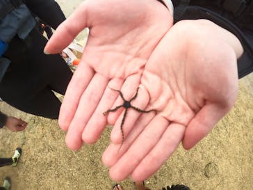 武藤潜水に投稿された画像（2024/9/17）