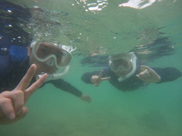 武藤潜水に投稿された画像（2024/9/17）