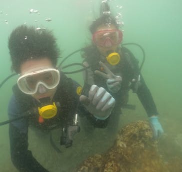 武藤潜水に投稿された画像（2024/9/17）