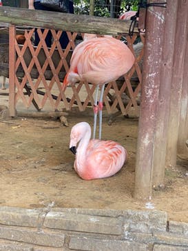 横浜・八景島シーパラダイスに投稿された画像（2024/9/17）
