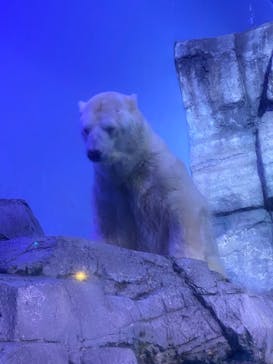 横浜・八景島シーパラダイスに投稿された画像（2024/9/17）