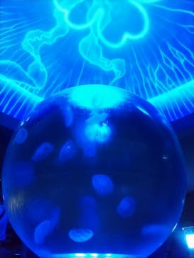 新江ノ島水族館に投稿された画像（2024/9/17）