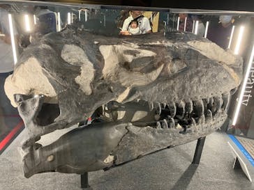 福井県立恐竜博物館に投稿された画像（2024/9/17）