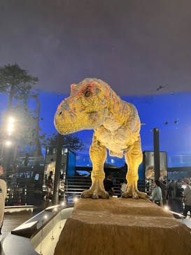 福井県立恐竜博物館に投稿された画像（2024/9/17）