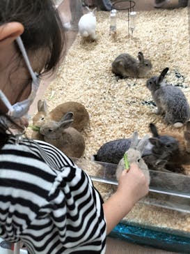 いきもの探検隊上尾に投稿された画像（2024/9/17）