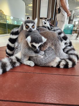 NIFREL（ニフレル）に投稿された画像（2024/9/17）