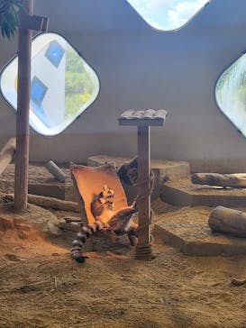 NIFREL（ニフレル）に投稿された画像（2024/9/17）