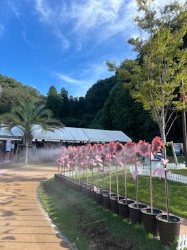 東京サマーランドに投稿された画像（2024/9/17）