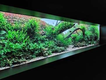 AOAO SAPPOROに投稿された画像（2024/9/17）