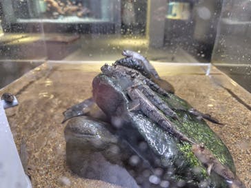 AOAO SAPPOROに投稿された画像（2024/9/17）