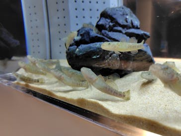 AOAO SAPPOROに投稿された画像（2024/9/17）