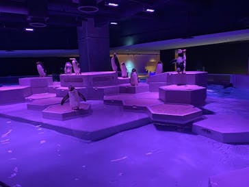 AOAO SAPPOROに投稿された画像（2024/9/17）