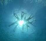 マリンクラブジジに投稿された画像（2024/9/17）