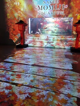 マクセル アクアパーク品川に投稿された画像（2024/9/17）