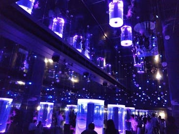 マクセル アクアパーク品川に投稿された画像（2024/9/17）