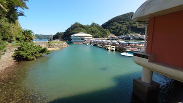 下田海中水族館に投稿された画像（2024/9/17）