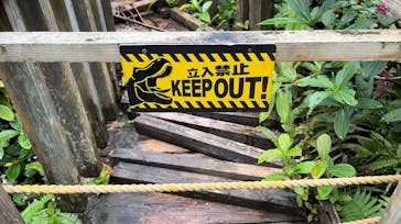 御菓子御殿　名護店　やんばる亜熱帯の森DINO恐竜PARKに投稿された画像（2024/9/17）