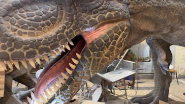 御菓子御殿　名護店　やんばる亜熱帯の森DINO恐竜PARKに投稿された画像（2024/9/17）