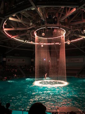 マクセル アクアパーク品川に投稿された画像（2024/9/18）