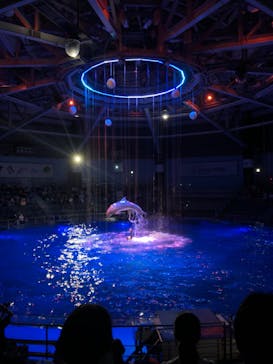 マクセル アクアパーク品川に投稿された画像（2024/9/18）