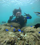 武藤潜水に投稿された画像（2024/9/18）